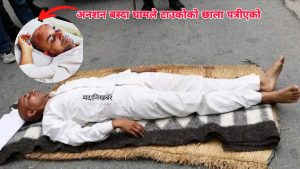 सत्याग्रह कार्यक्रम 